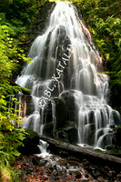 Fairy Falls