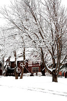 Winter dreams