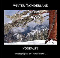 Homepage photos