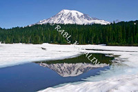 LANDSCAPES