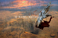 EXHIBITION IMAGES