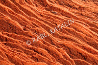 PATTERNS of NATURE